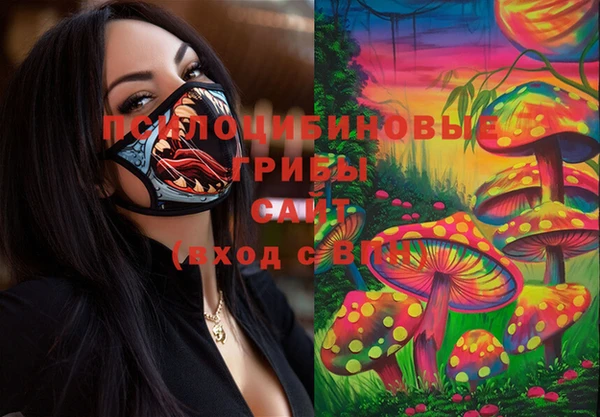 a pvp Алзамай