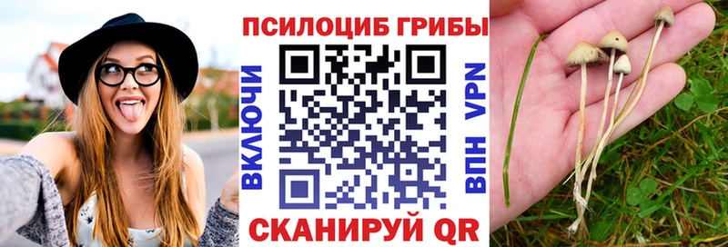 Галлюциногенные грибы MAGIC MUSHROOMS  Миньяр 